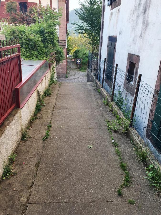 Maison Au Coeur De La Rue Pietonne Saint-Jean-Pied-de-Port Dış mekan fotoğraf